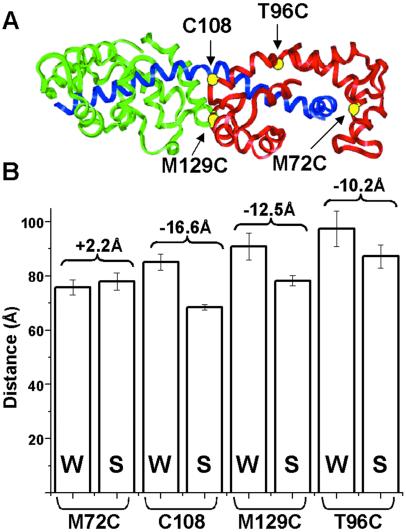 Fig 3.