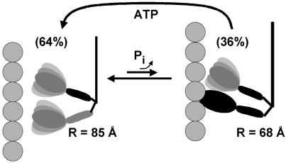 Fig 5.