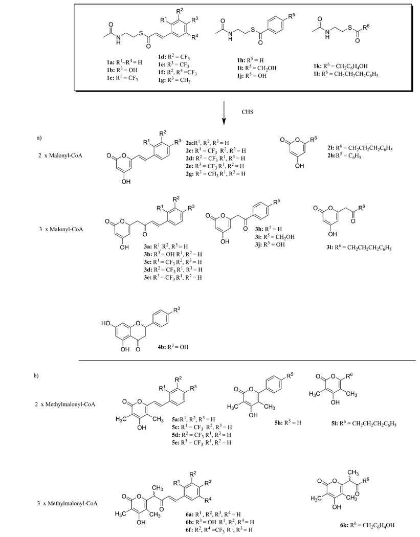 Scheme 1