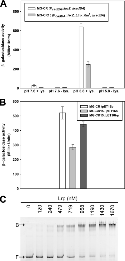 Fig. 10.