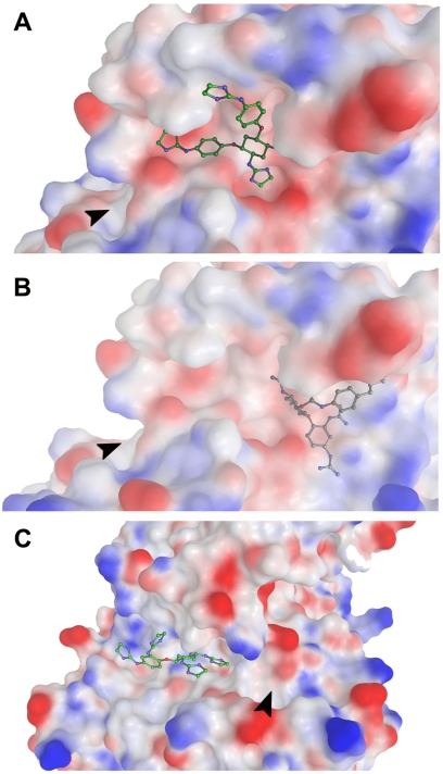 Fig. 12.