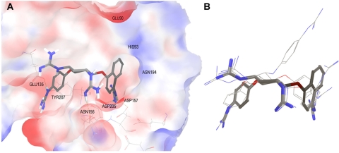 Fig. 10.