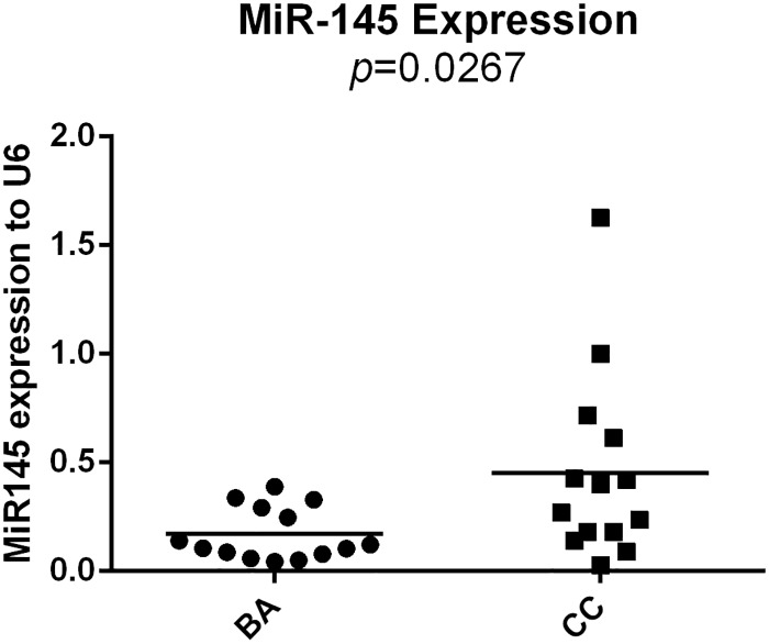 Fig 10