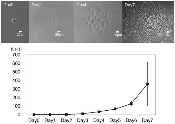 Fig 3