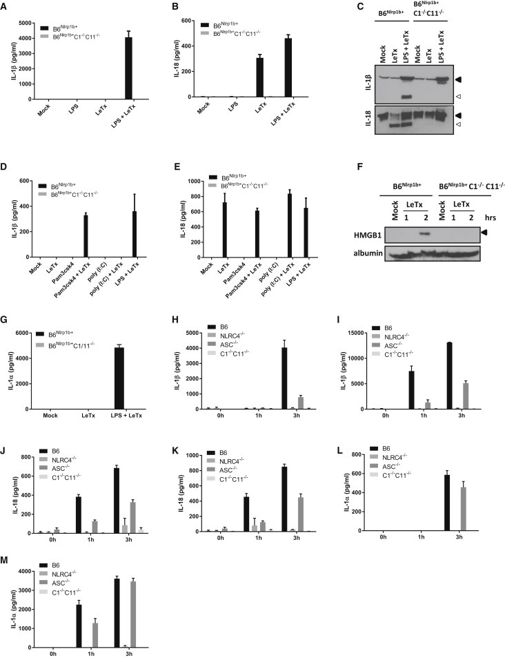 Figure 5