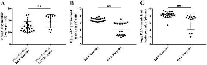 FIG 5