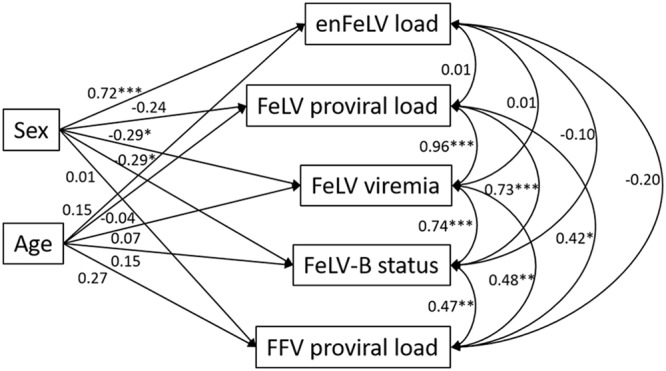 FIG 2