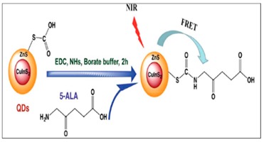 graphic file with name molecules-24-02669-i001.jpg