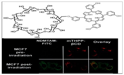 graphic file with name molecules-24-02669-i002.jpg