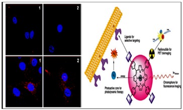 graphic file with name molecules-24-02669-i004.jpg