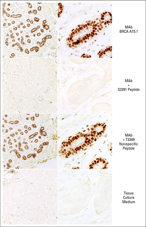 Fig 2.