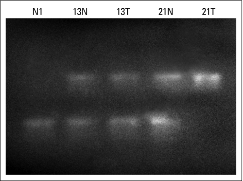 Fig A2.