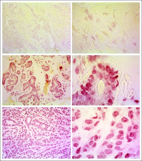 Fig A1.