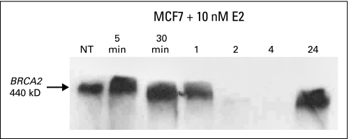 Fig 3.