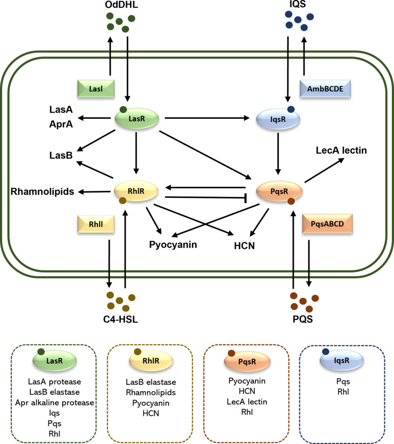 Figure 2