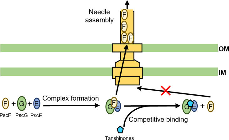 Figure 3