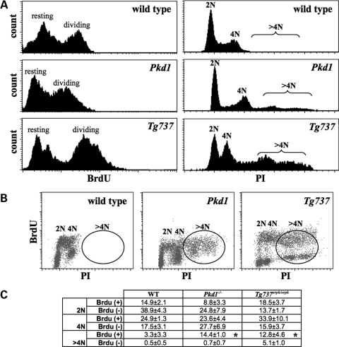 Figure 4.