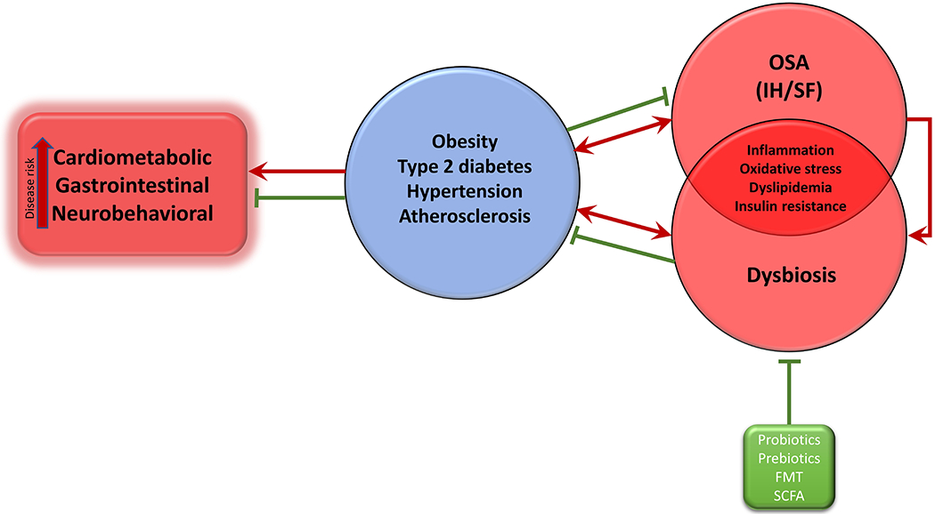 Figure 3: