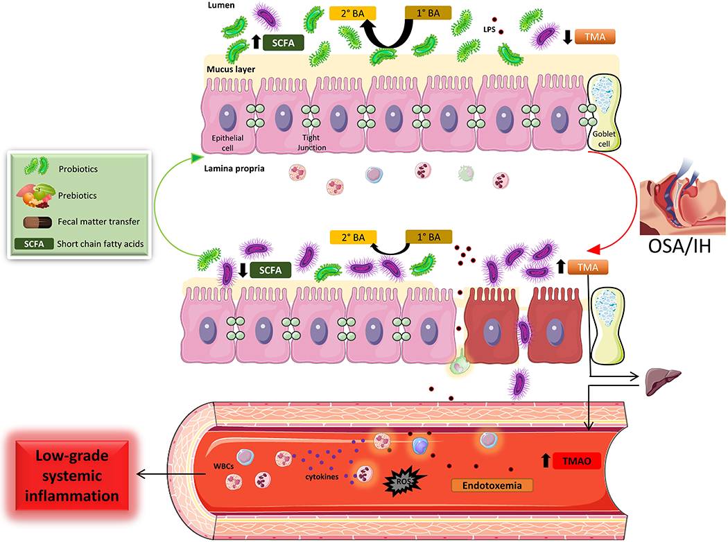 Figure 1: