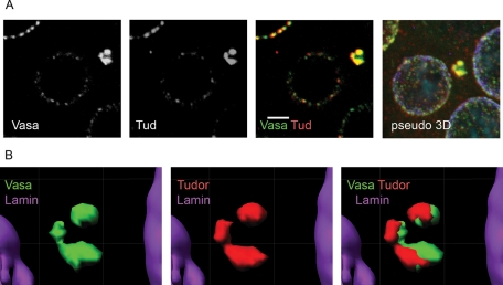 FIGURE 4: