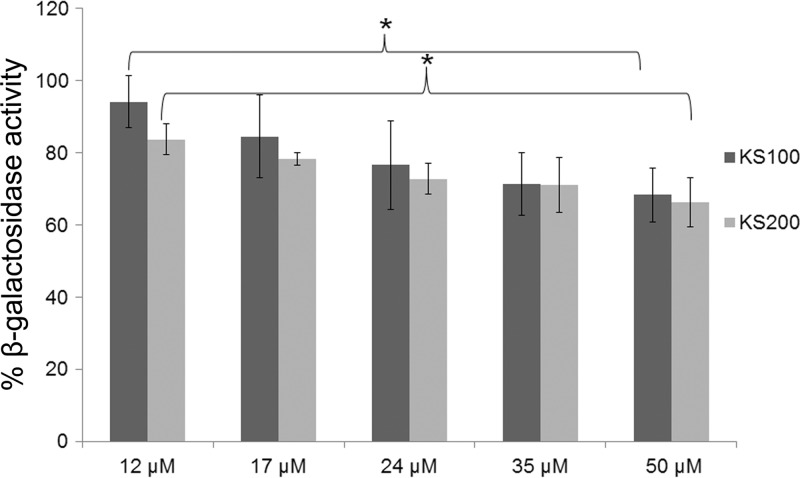 FIG 2