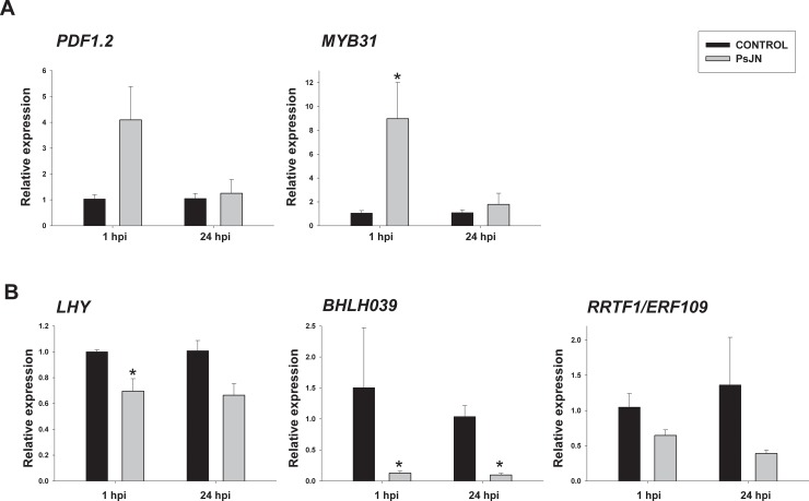 Fig 6