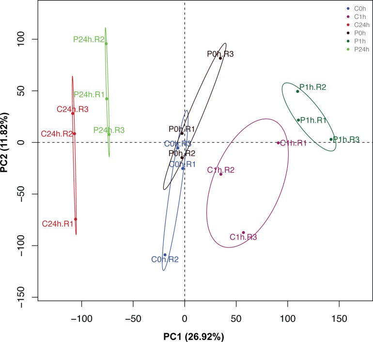 Fig 2