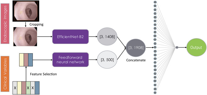 Fig. 2