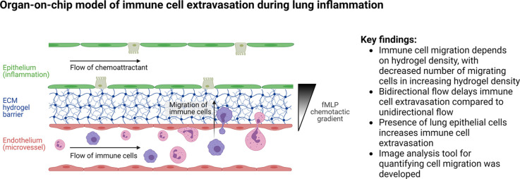 Image, graphical abstract