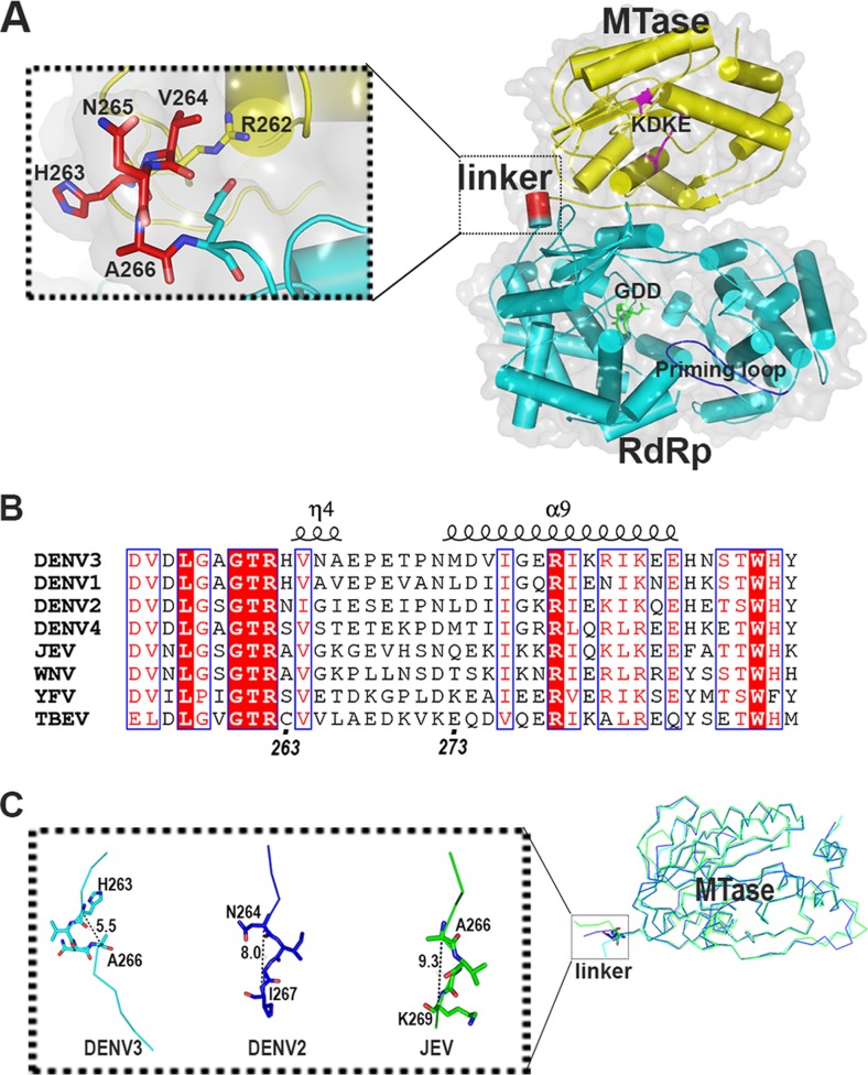 FIG 1