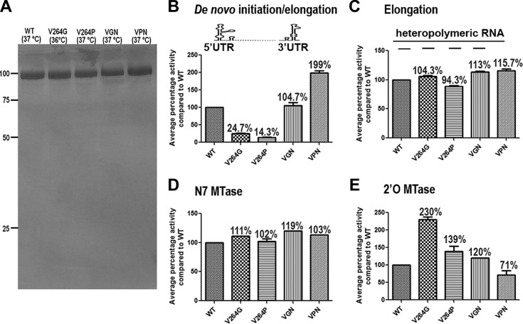 FIG 2