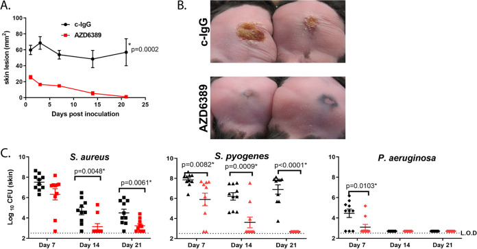 FIG 3