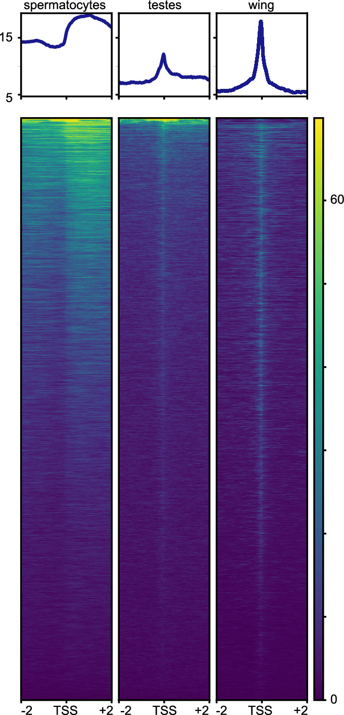 Figure 3—figure supplement 1.