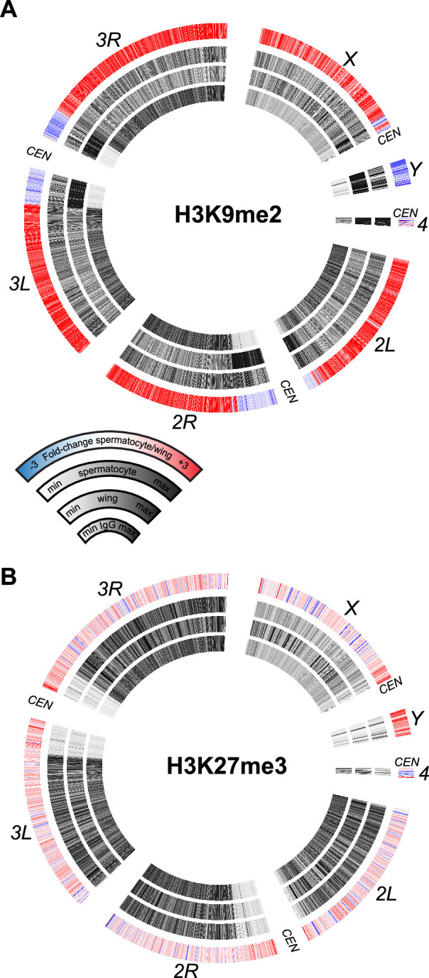 Figure 5.