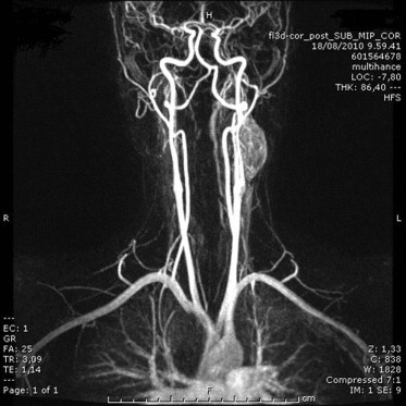 Figure 5