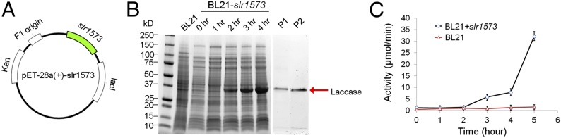 Fig. 5.