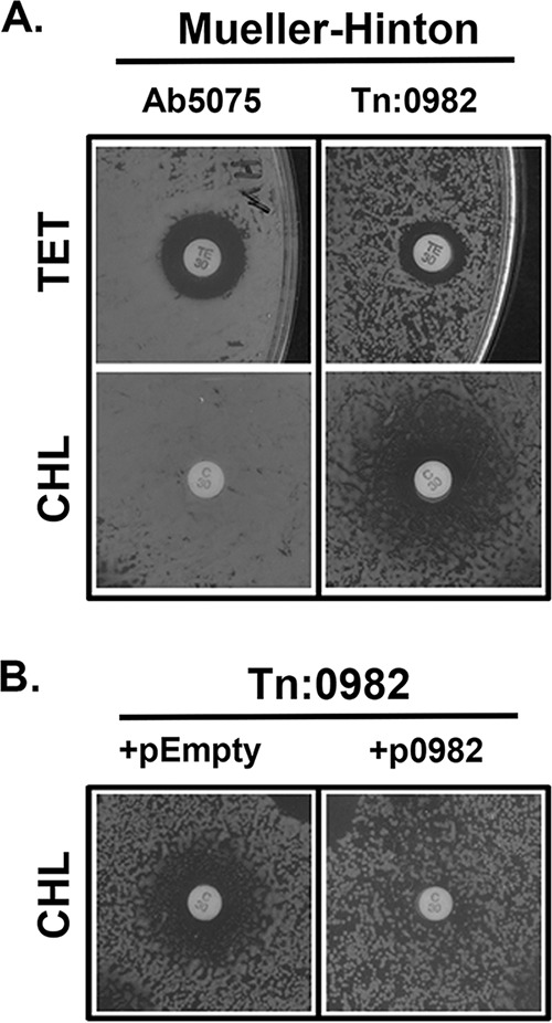 FIG 2