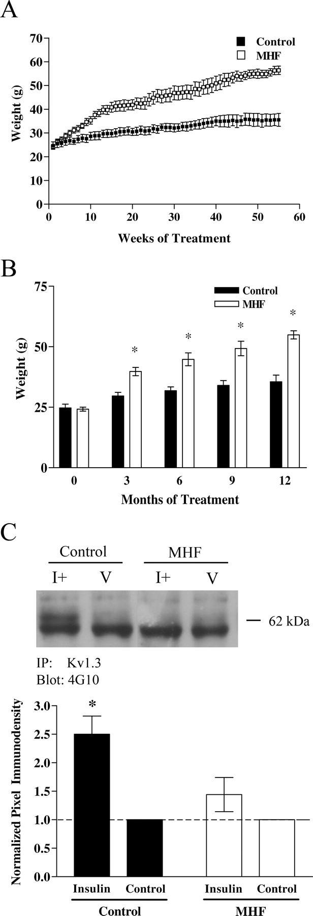 Figure 13.