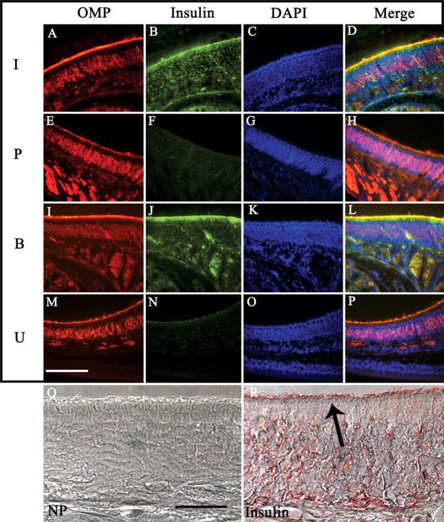 Figure 10.