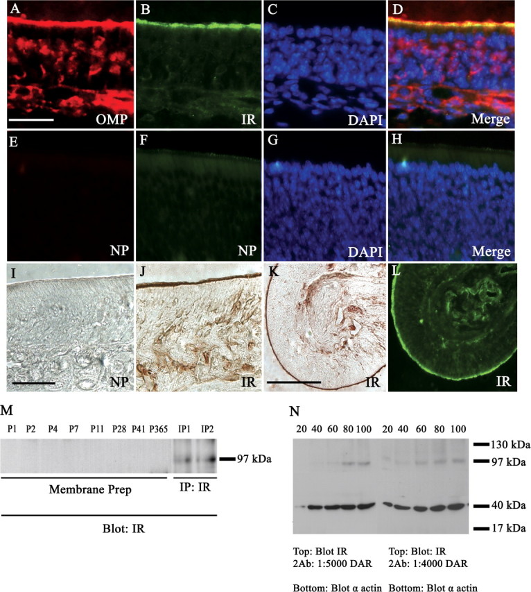 Figure 11.