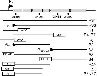 FIG. 1