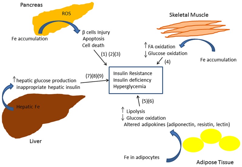 FIGURE 2