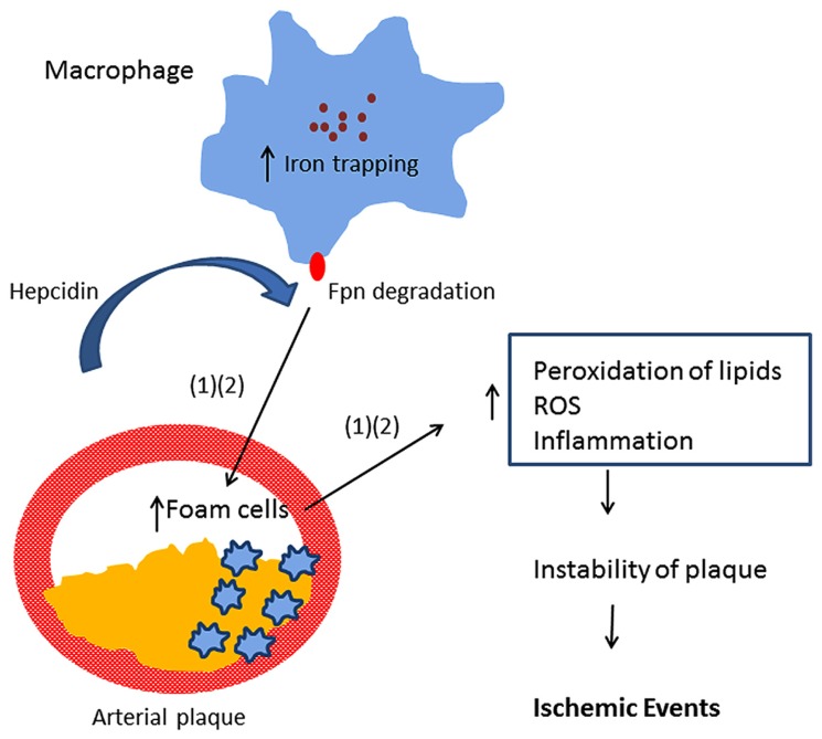 FIGURE 1