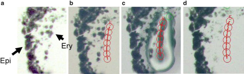 Fig. 3