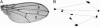 F<sc>igure</sc> 1.—