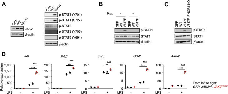 Figure 2