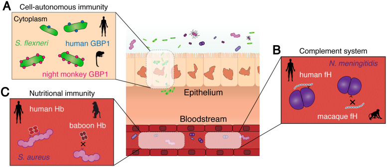 Fig 2