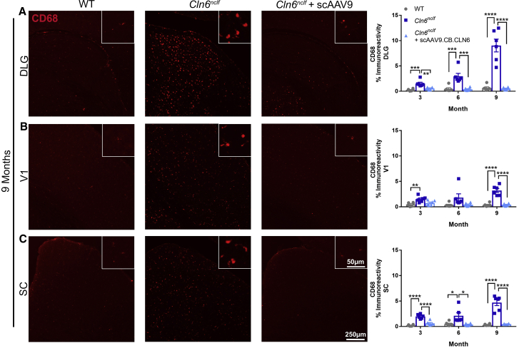 Figure 3