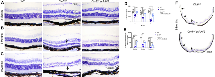 Figure 5