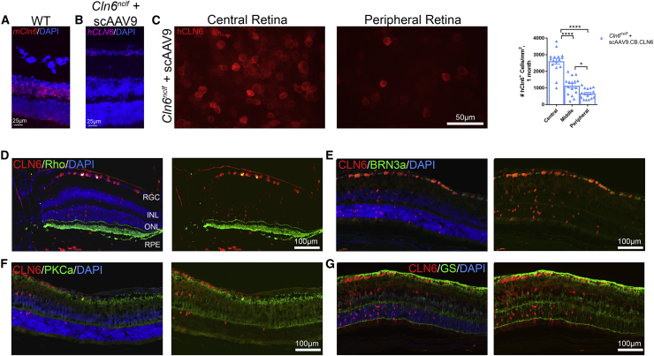 Figure 6